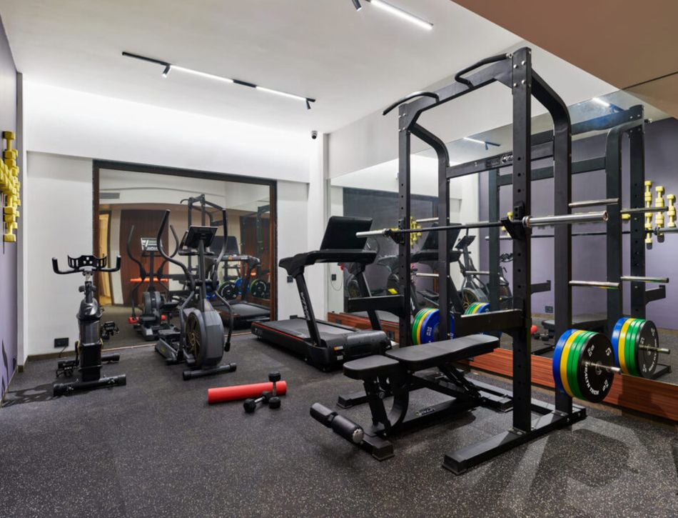 Anjuna gym — full equipment, mirrored wall, natural light